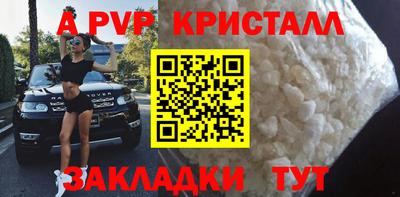 PSILOCYBIN Тула