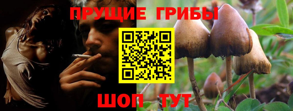 Балашиха  Галлюциногенные грибы MAGIC MUSHROOMS  Вход с VPN 